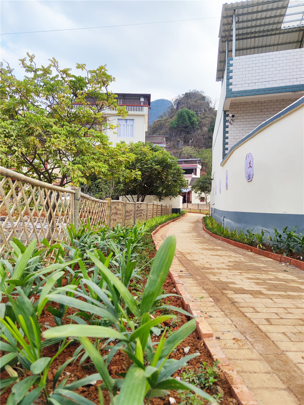 1624585985253034.jpg 图16.jpg