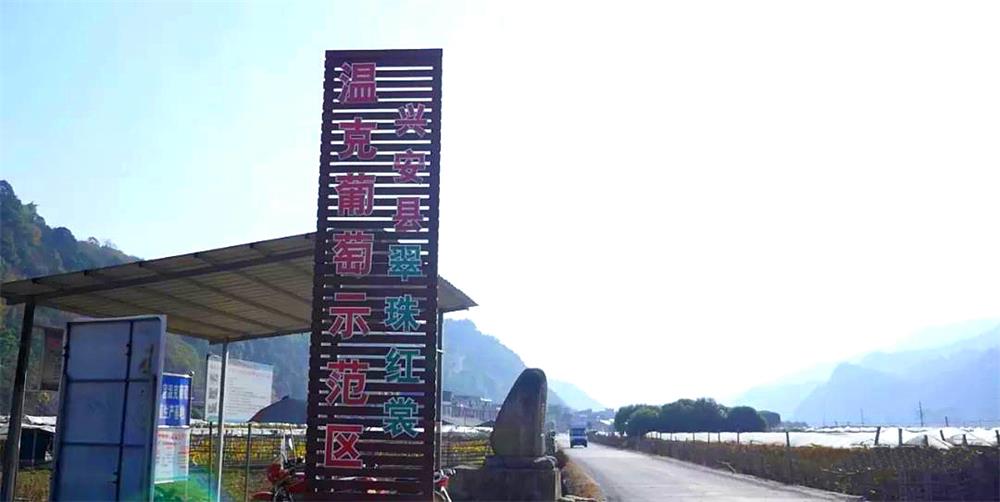 1631159201938698.jpg 温克葡萄示范区.jpg