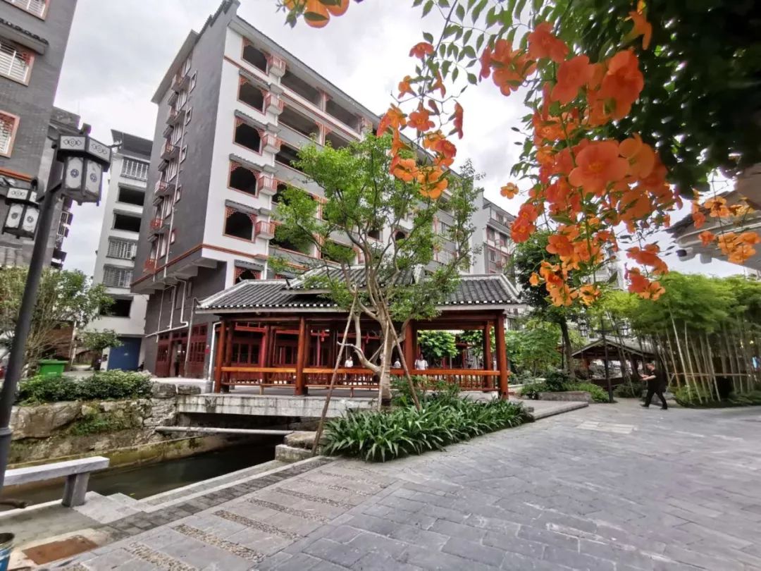 1675243176630714.jpg 双女.jpg